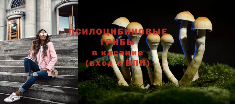 Псилоцибиновые грибы Magic Shrooms  наркотики  дарк нет как зайти  Красный Холм 